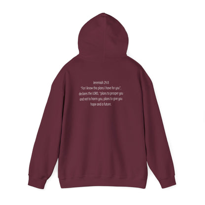 Baby Steps Jeremiah 29:11 Hoodie